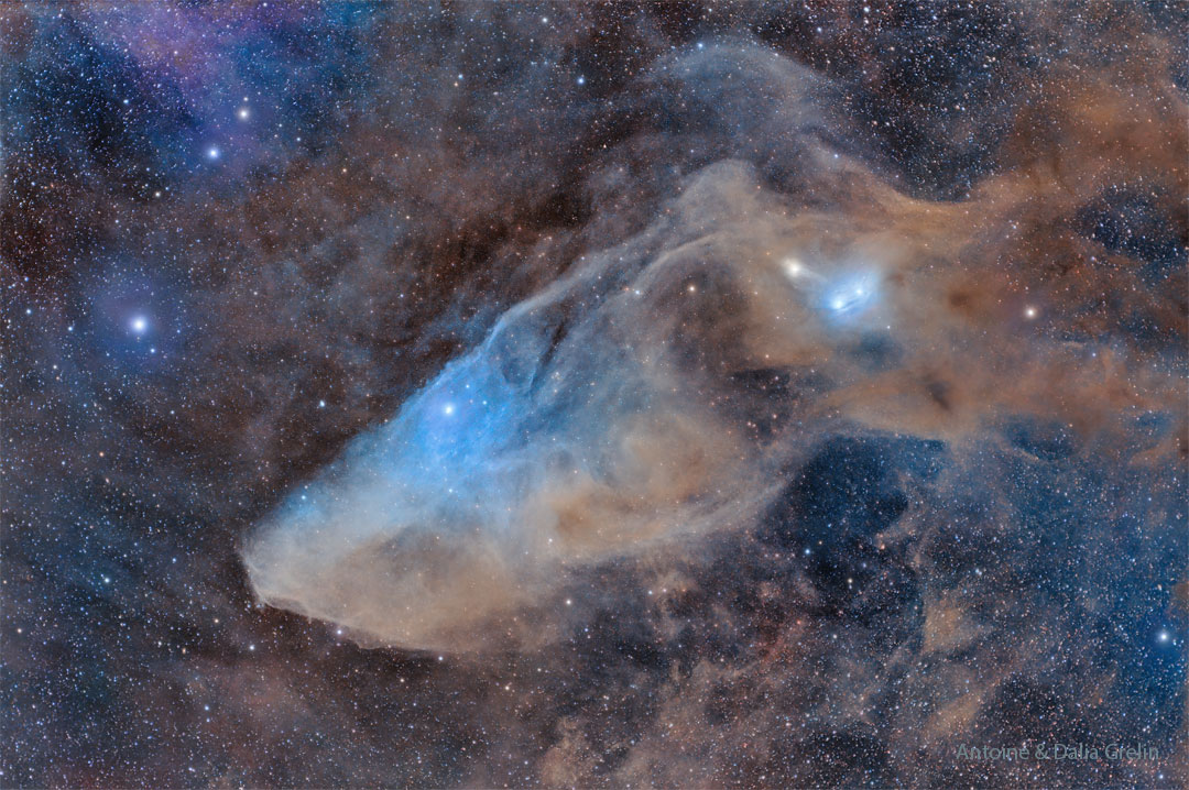 Photo of the Blue Horsehead Reflection Nebula